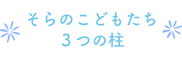 そらのこどもたち 3つの柱 (幼稚園との比較)